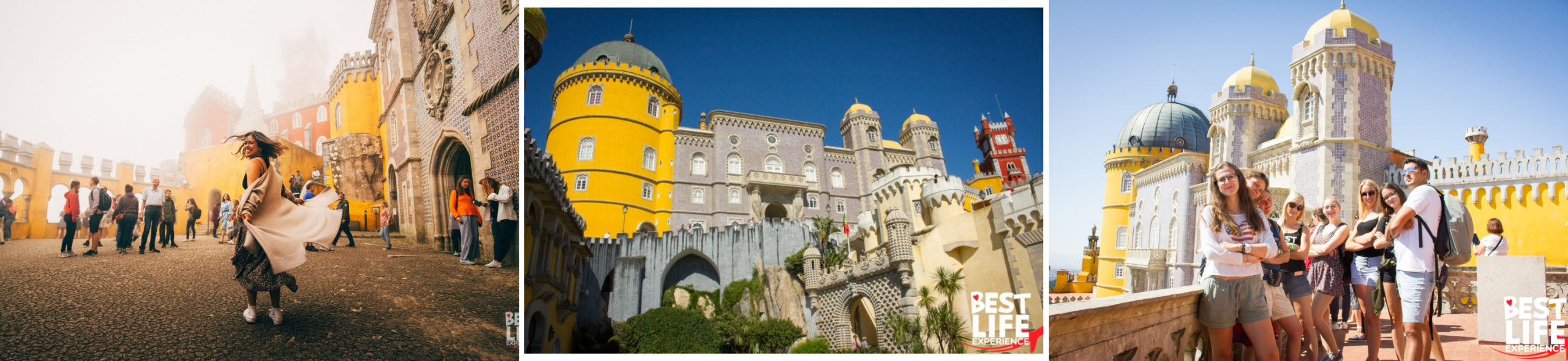 collages web 1 1 scaled