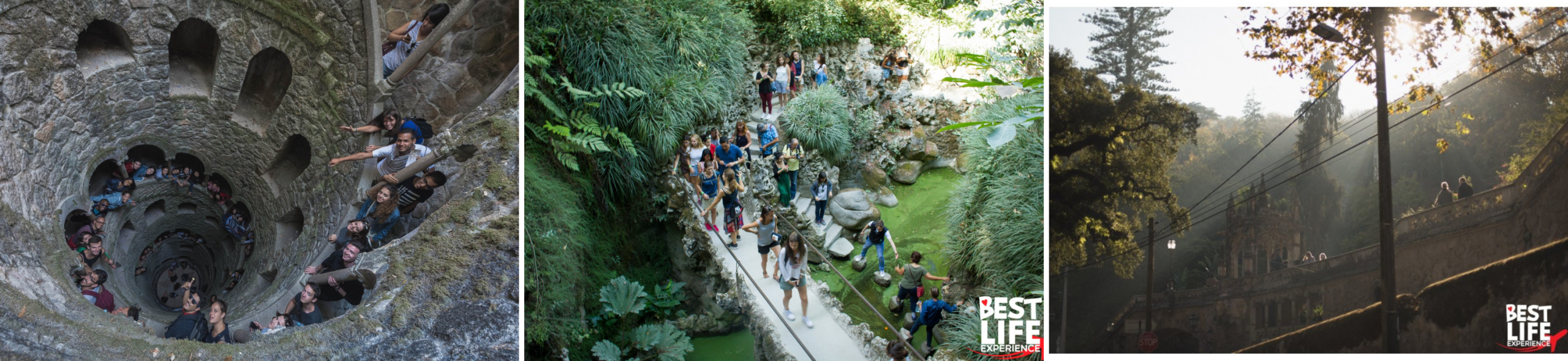 collages web 2 scaled